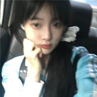 纽约鸟王