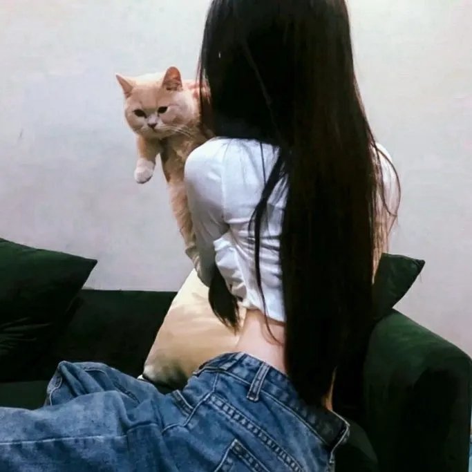 十三个女人